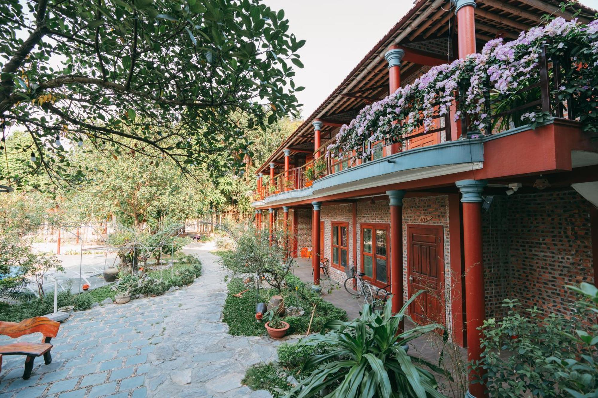Tam Coc Lavender Homestay Ninh Binh Dış mekan fotoğraf